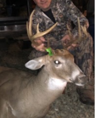 Deer Hunting