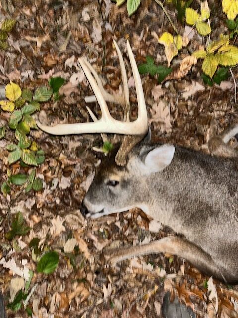 Deer Hunting